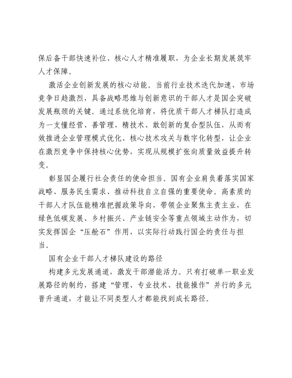 调研报告：企业人才梯队建设的思考与实践.docx_第2页