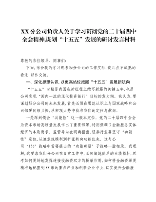 XX分公司负责人关于学习贯彻党的二十届四中全会精神，谋划十五五发展的研讨发言材料.docx