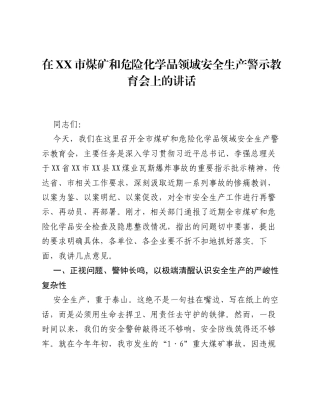 在XX市煤矿和危险化学品领域安全生产警示教育会上的讲话.docx