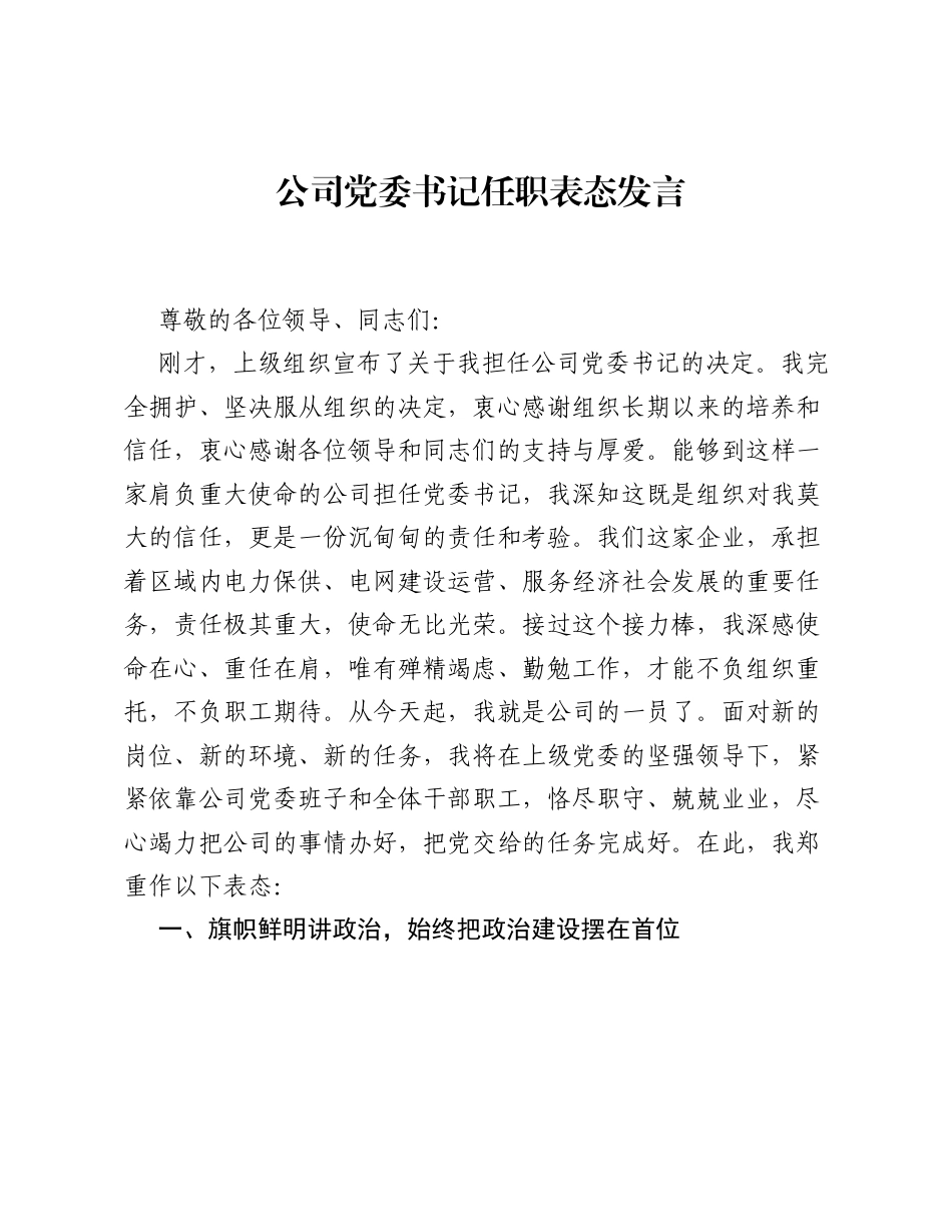 公司党委书记任职表态发言.docx_第1页