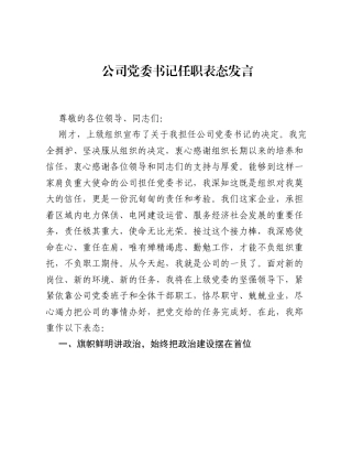 公司党委书记任职表态发言.docx