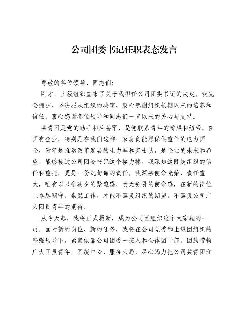 公司团委书记任职表态发言.docx_第1页