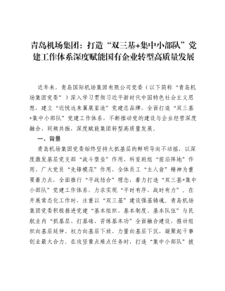 青岛机场集团：打造双三基+集中小部队党建工作体系深度赋能国有企业转型高质量发展.docx