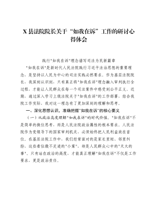 X县法院院长关于如我在诉工作的研讨心得体会.docx