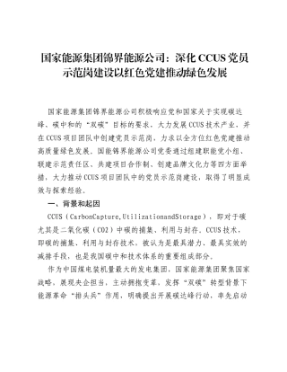 国家能源集团锦界能源公司：深化CCUS党员示范岗建设 以红色党建推动绿色发展.docx