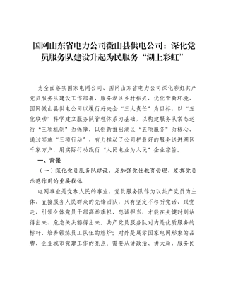 国网山东省电力公司微山县供电公司：深化党员服务队建设 升起为民服务湖上彩虹.docx