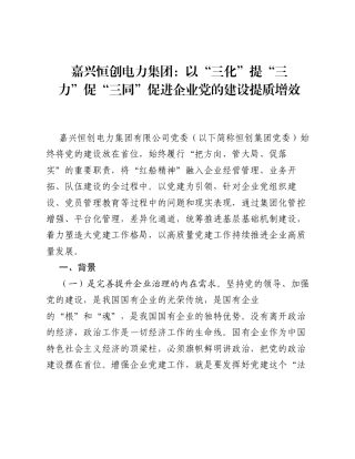 嘉兴恒创电力集团：以三化提三力促三同促进企业党的建设提质增效.docx