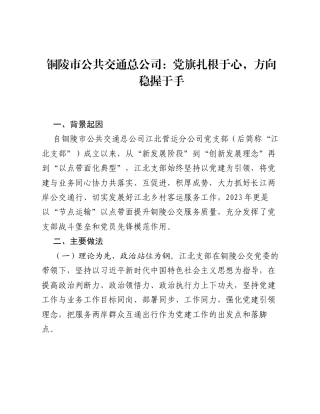 铜陵市公共交通总公司：党旗扎根于心，方向稳握于手.docx