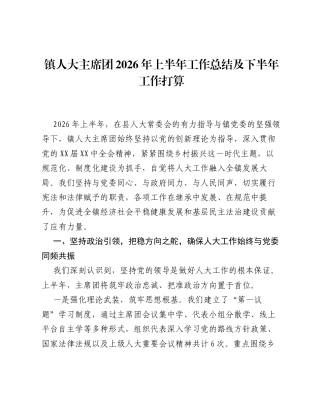 镇人大主席团2026年上半年工作总结及下半年工作打算.docx