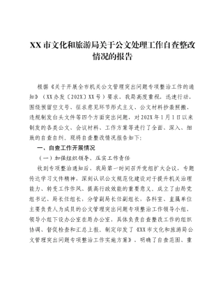XX市文化和旅游局关于公文处理工作自查整改情况的报告.docx