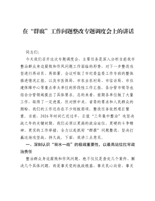 在 群腐 工作问题整改专题调度会上的讲话.docx