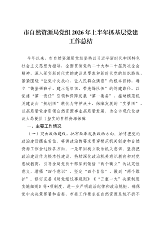 市自然资源局党组2026年上半年抓基层党建工作总结.docx