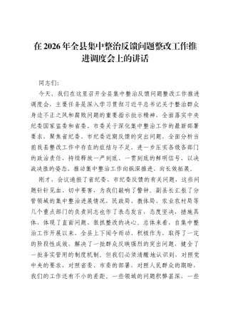 在2026年全县集中整治反馈问题整改工作推进调度会上的讲话.docx