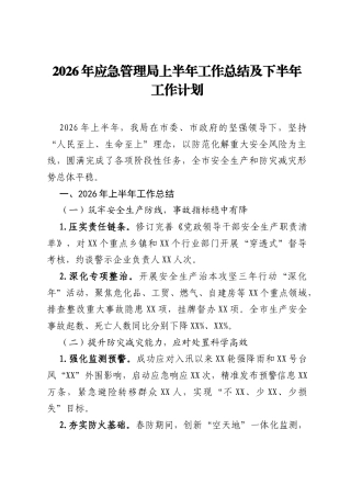 2026年应急管理局上半年工作总结及下半年工作计划.docx