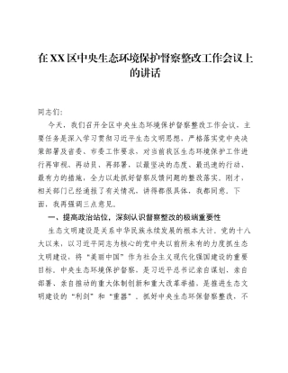 在XX区中央生态环境保护督察整改工作会议上的讲话.docx