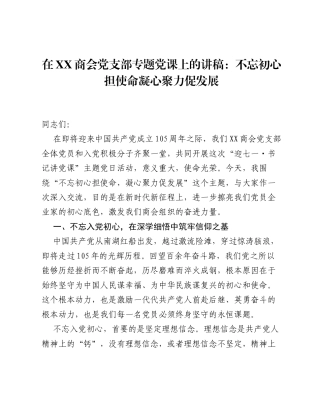 在XX商会党支部专题党课上的讲稿：不忘初心担使命 凝心聚力促发展.docx