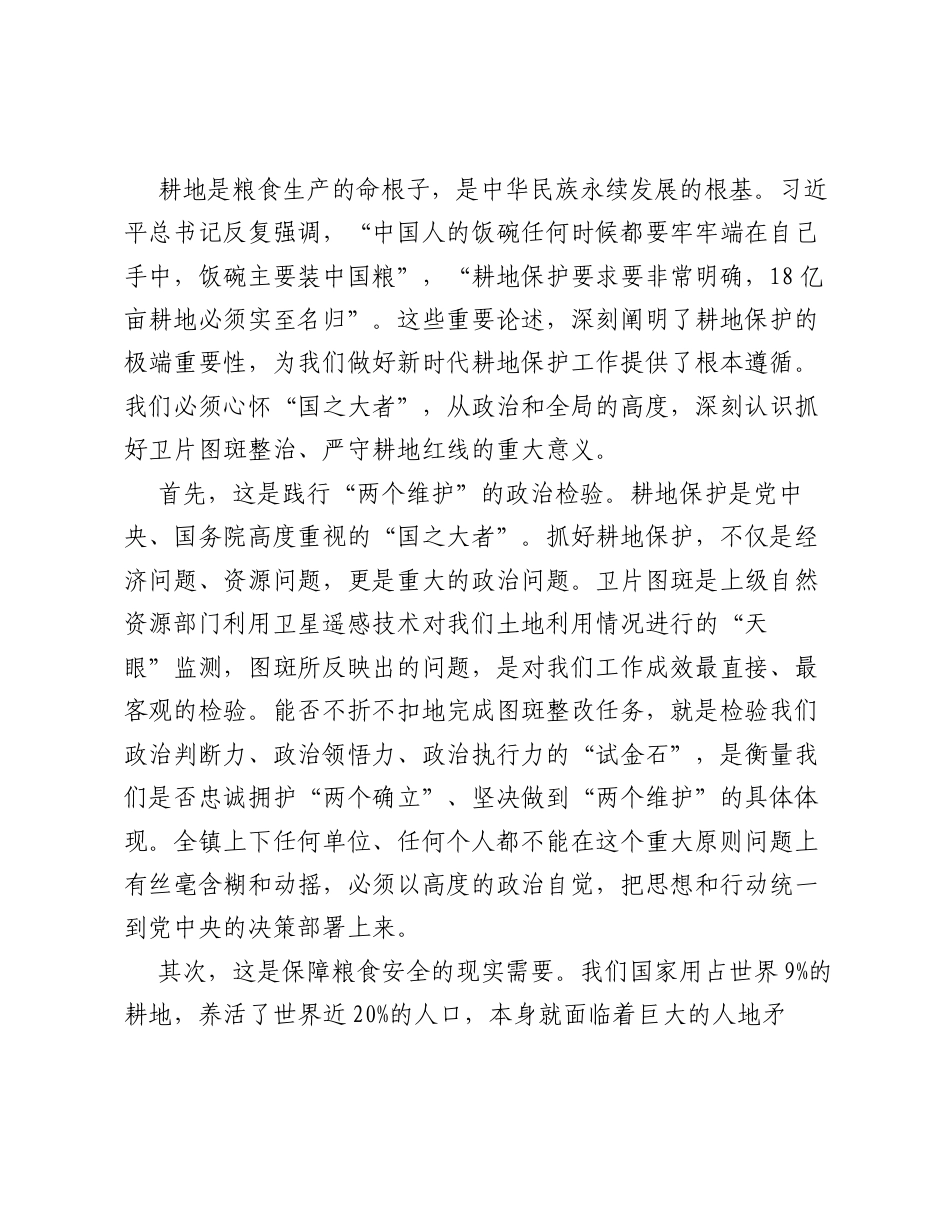在全镇卫片图斑整治工作部署推进会上的讲话.docx_第2页