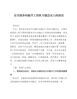 在全镇乡村振兴工作队专题会议上的讲话.docx