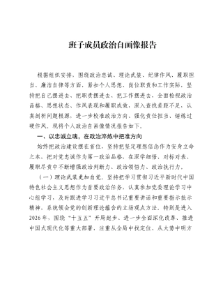 班子成员政治自画像报告（3327字）.docx