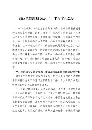市应急管理局2026年上半年工作总结.docx