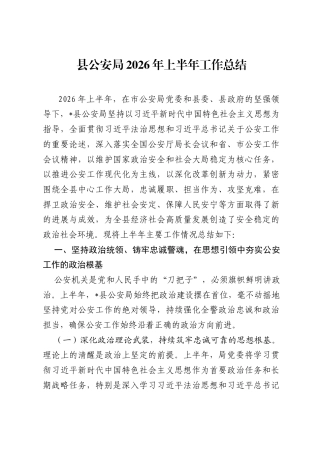县公安局2026年上半年工作总结.docx