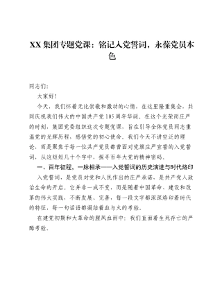 XX集团专题党课：铭记入党誓词，永葆党员本色.docx