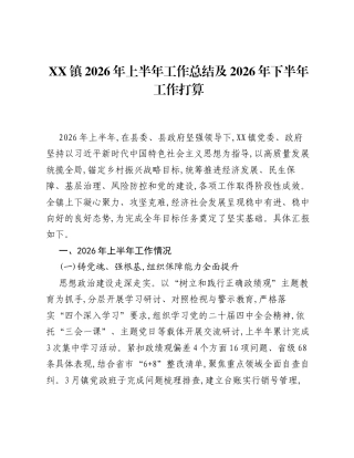 XX镇2026年上半年工作总结及2026年下半年工作打算.docx