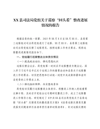 XX县司法局党组关于巡察 回头看 整改进展情况的报告.docx