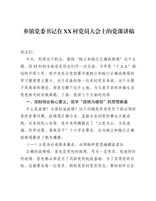 乡镇党委书记在XX村党员大会上的党课讲稿.docx