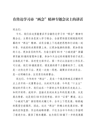 在传达学习市两会精神专题会议上的讲话.docx