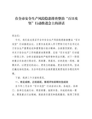 在全市安全生产风险隐患排查整治 百日攻坚 行动推进会上的讲话.docx