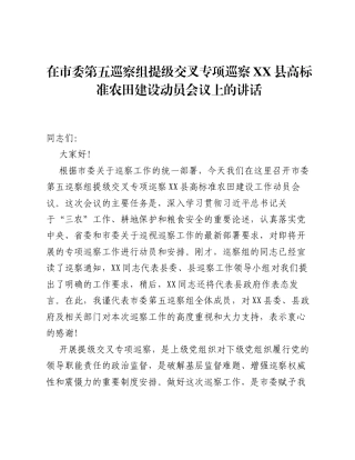 在市委第五巡察组提级交叉专项巡察XX县高标准农田建设动员会议上的讲话.docx