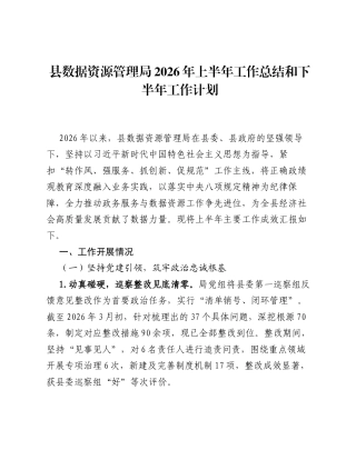县数据资源管理局2026年上半年工作总结和下半年工作计划.docx