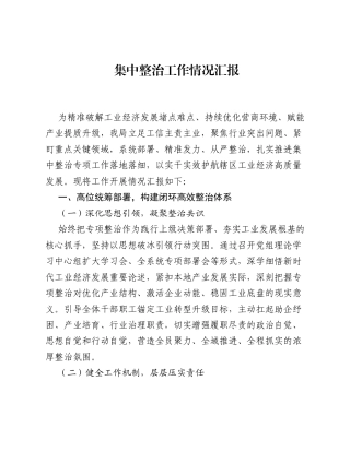 集中整治工作情况汇报.docx