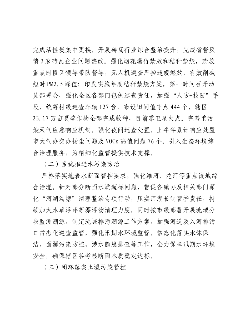 XX区生态环境分局2026年上半年工作总结及下半年工作计划.docx_第2页