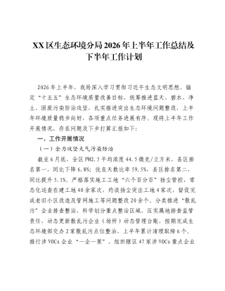 XX区生态环境分局2026年上半年工作总结及下半年工作计划.docx