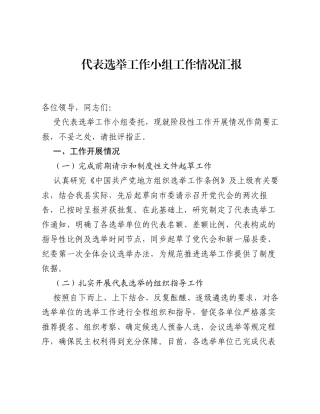 代表选举工作小组工作情况汇报.docx