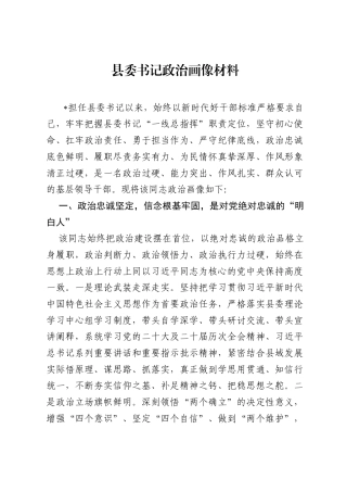 县委书记政治画像材料.docx