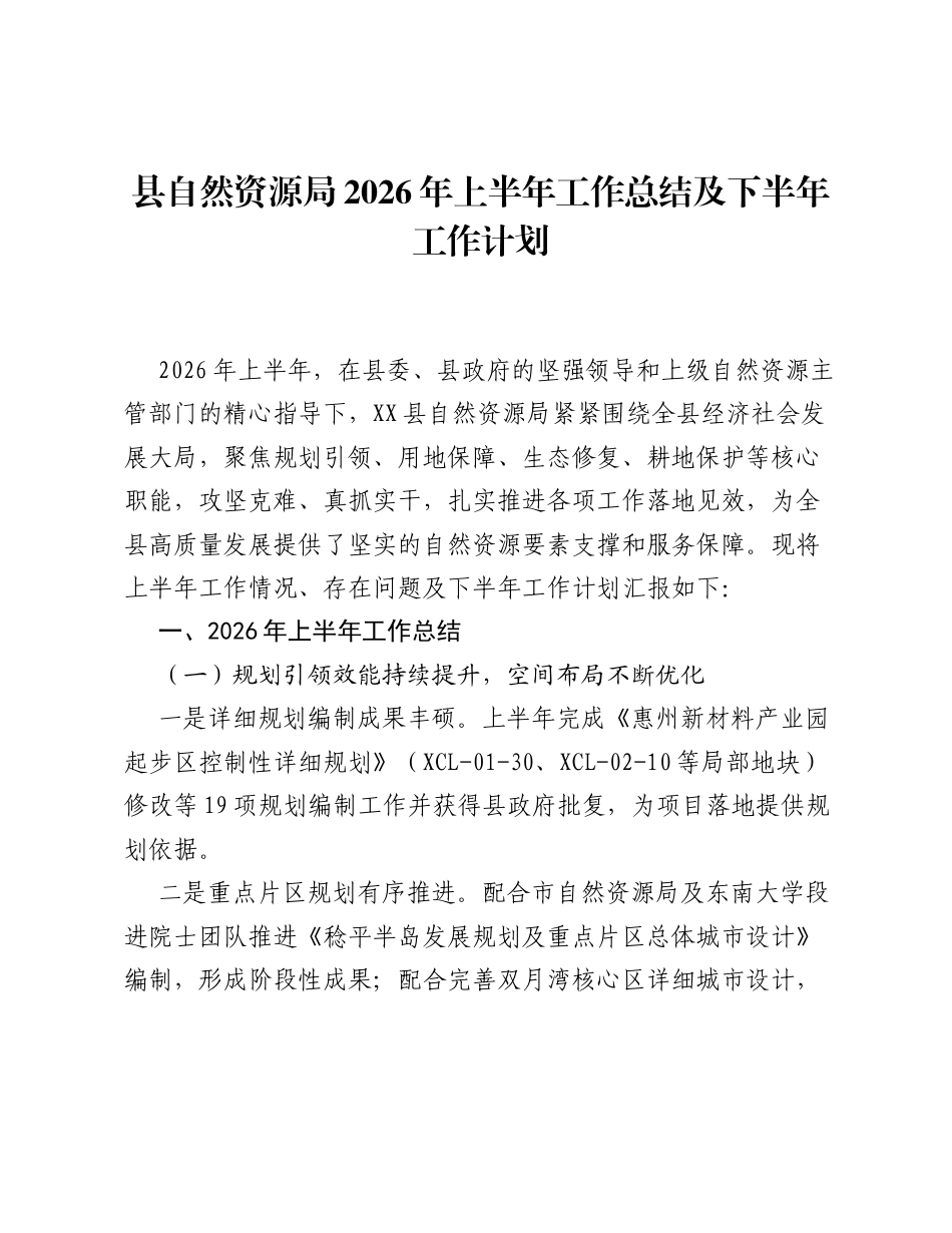 县自然资源局2026年上半年工作总结及下半年工作计划.docx_第1页