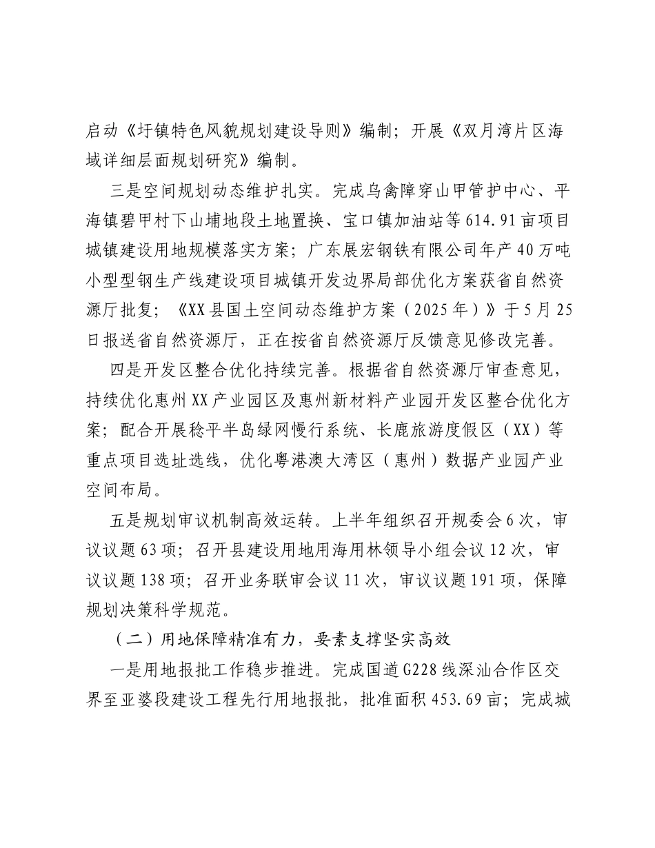 县自然资源局2026年上半年工作总结及下半年工作计划.docx_第2页