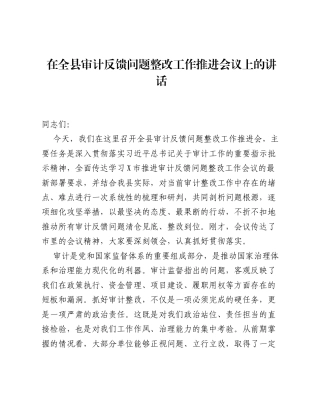 在全县审计反馈问题整改工作推进会议上的讲话.docx