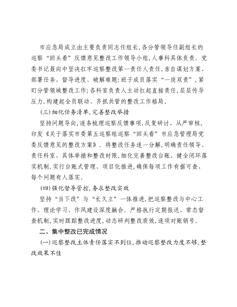XX市应急管理局委员会关于落实市委巡察回头看反馈意见整改情况的报告.docx_第2页