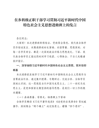 在乡科级正职干部学习贯彻总书记新时代中国特色社会主义思想进修班上的发言.docx