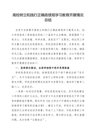 高校树立和践行正确政绩观学习教育开展情况总结.docx