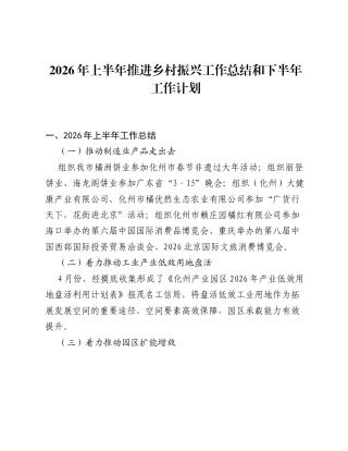 2026年上半年推进乡村振兴工作总结和下半年工作计划.docx