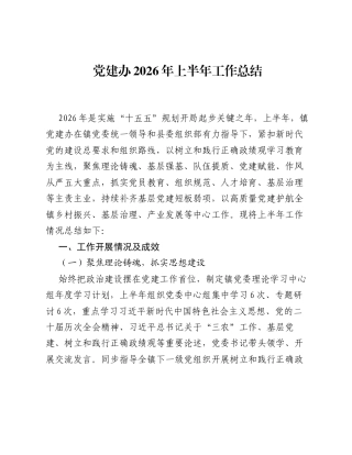 党建办2026年上半年工作总结.docx
