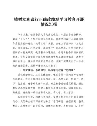 镇树立和践行正确政绩观学习教育开展情况汇报.doc