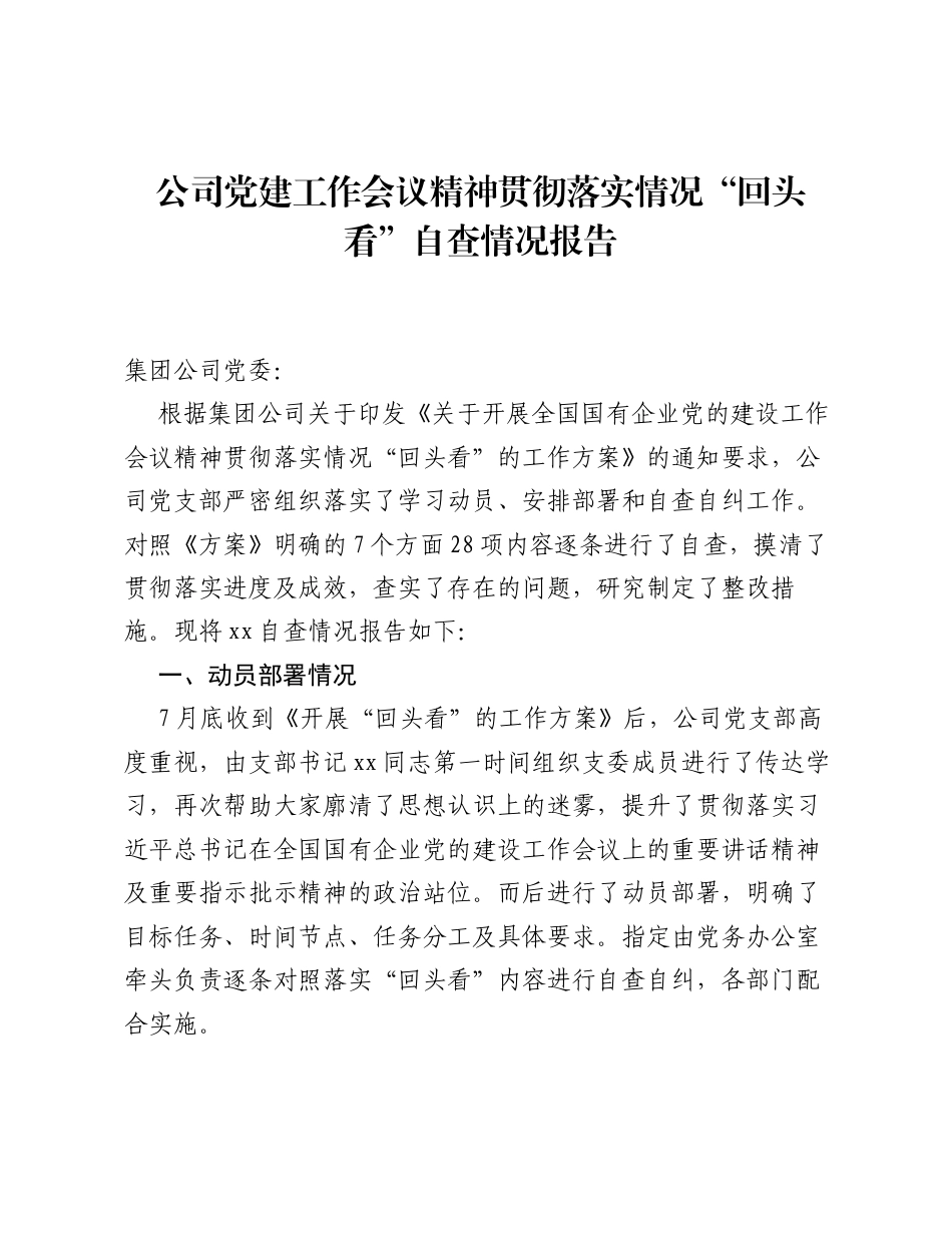 公司党建工作会议精神贯彻落实情况回头看自查情况报告.docx_第1页