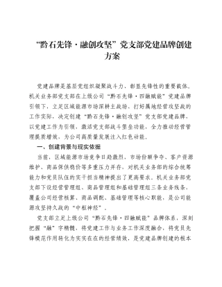 黔石先锋・融创攻坚 党支部党建品牌创建方案.docx