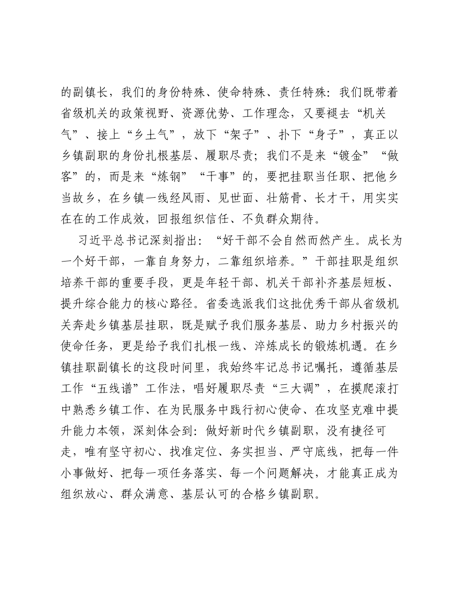 新时代如何做好一名乡镇副职——省级干部赴乡镇挂职副镇长工作实践与专题讲课稿.docx_第2页